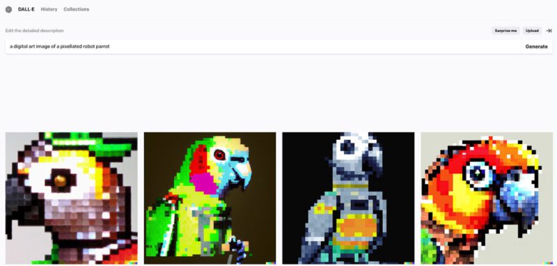 parrot