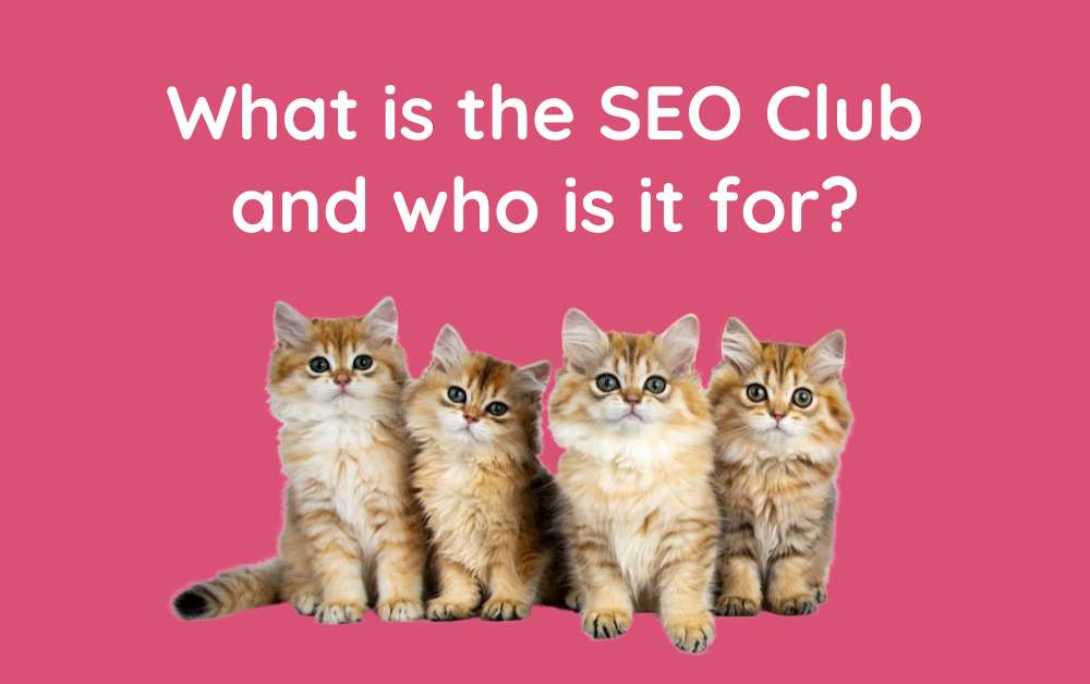 What is the SEO Club, and who is it for?